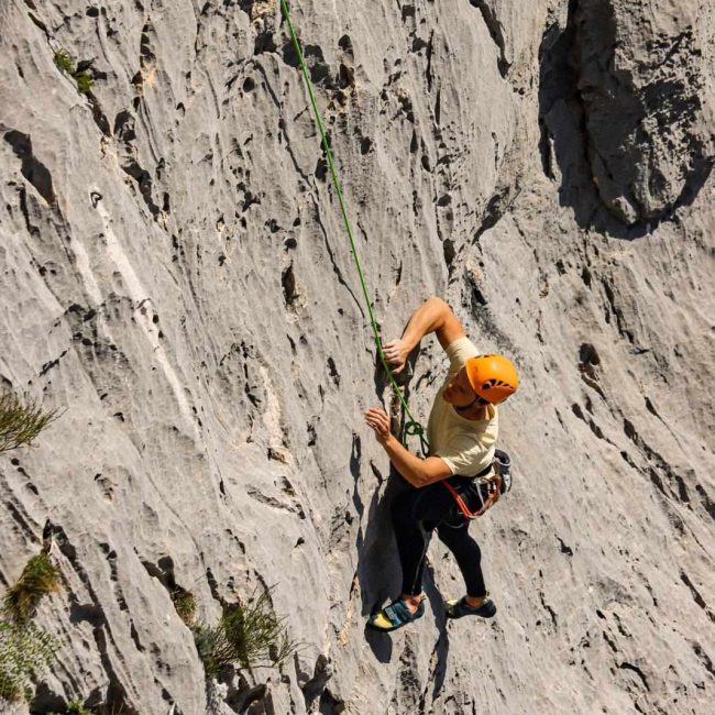 stage escalade marseille adulte